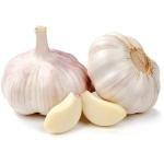 GARLIC 100 GM